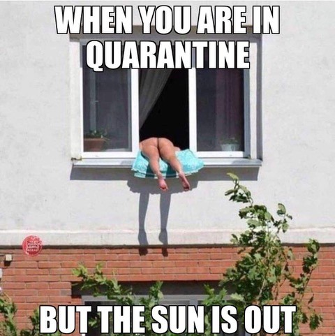 quarantine sun.jpg